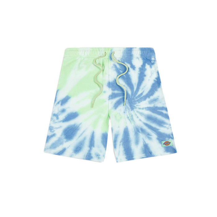 Dickies Short Dickies SEATAC CELADON