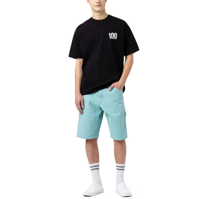 Dickies Short Dickies DUCK CANVAS SW