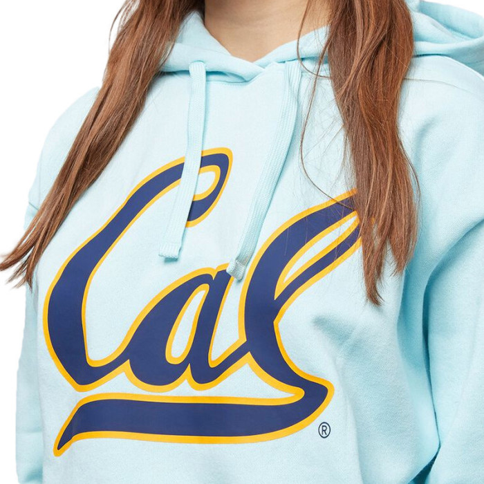 Champion Sweat à capuche Champion
