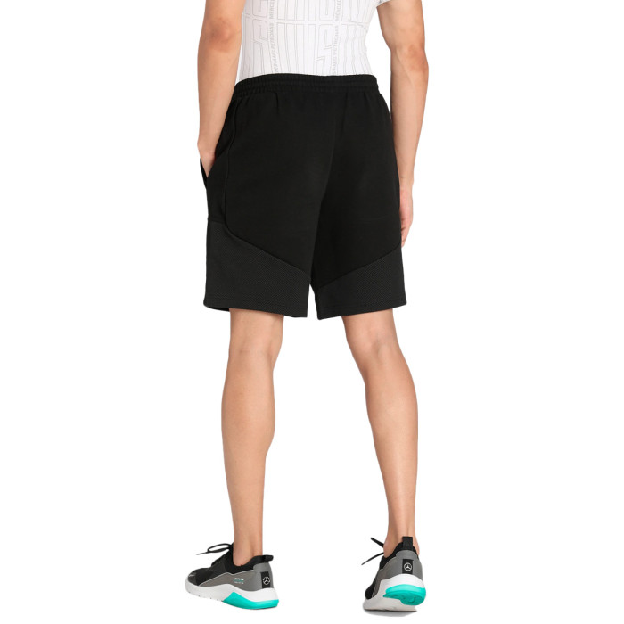 Short Puma MAPF1