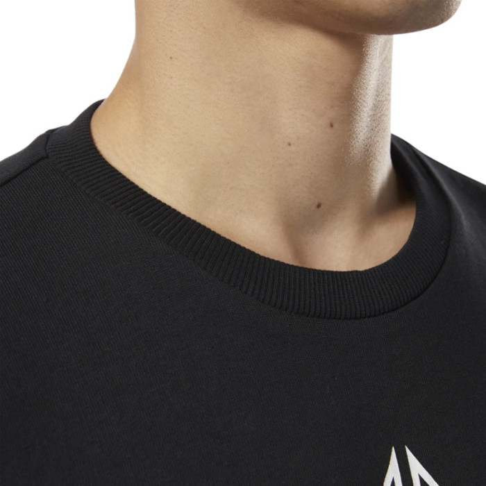 Sweat Reebok Classic Friend Terry big star