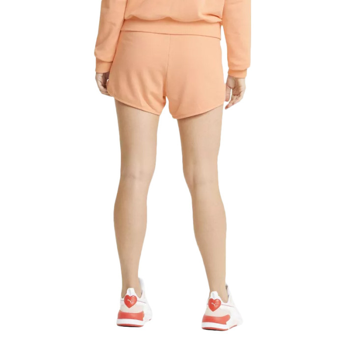 Short Puma BASIC