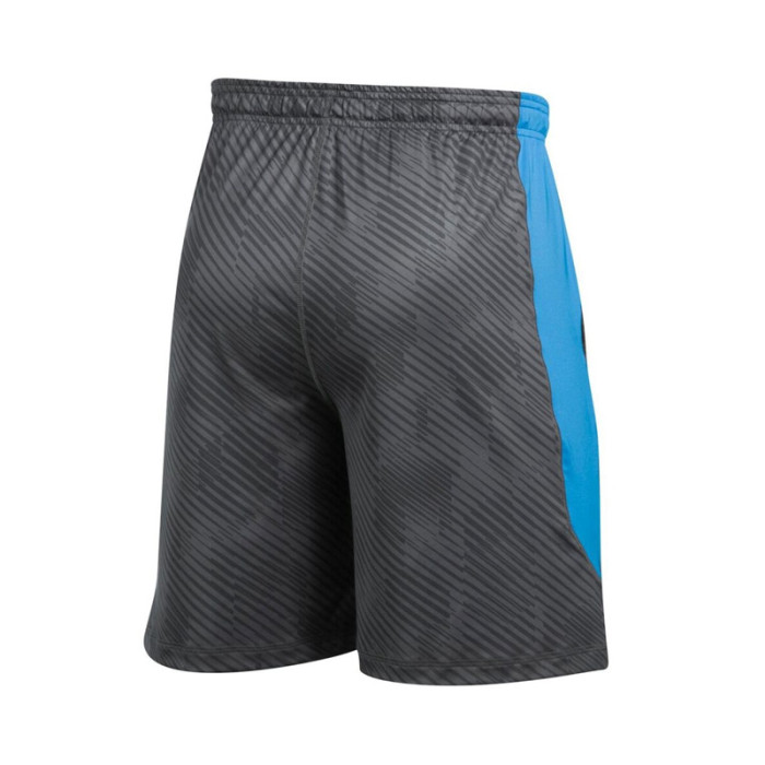 Short Under Armour Raid...