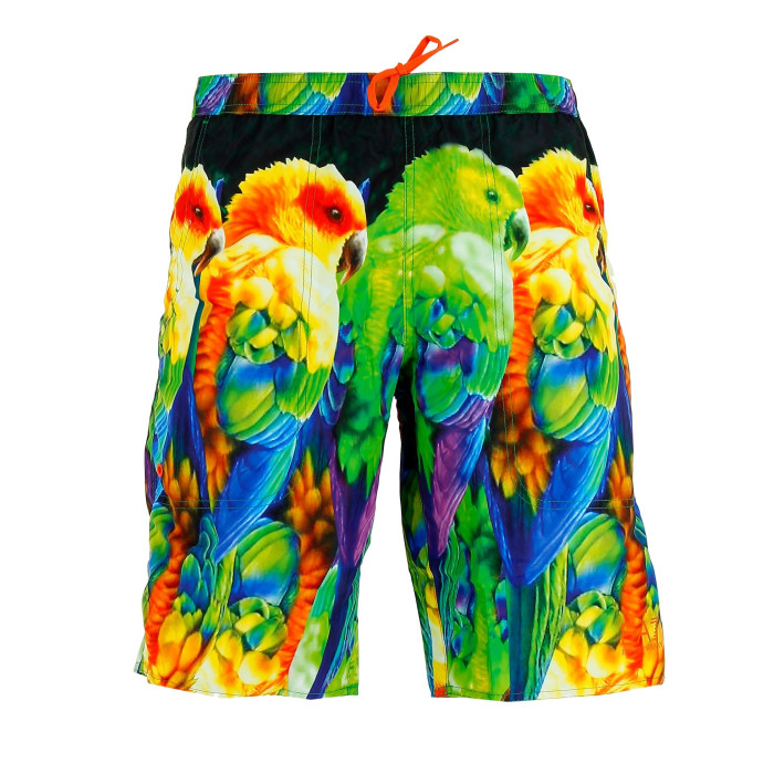 EA7 Emporio Armani Bermuda EA7 Emporio Armani (Multicolore)