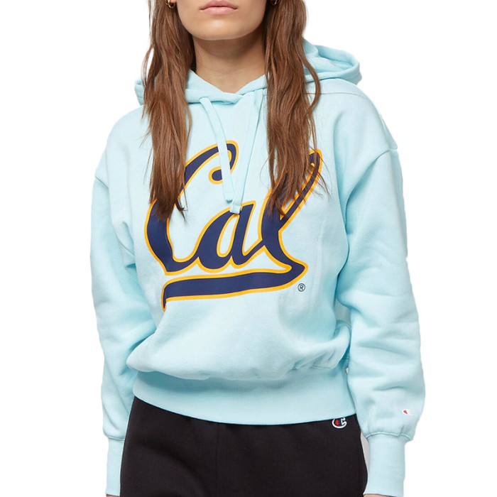 Sweat à capuche Champion