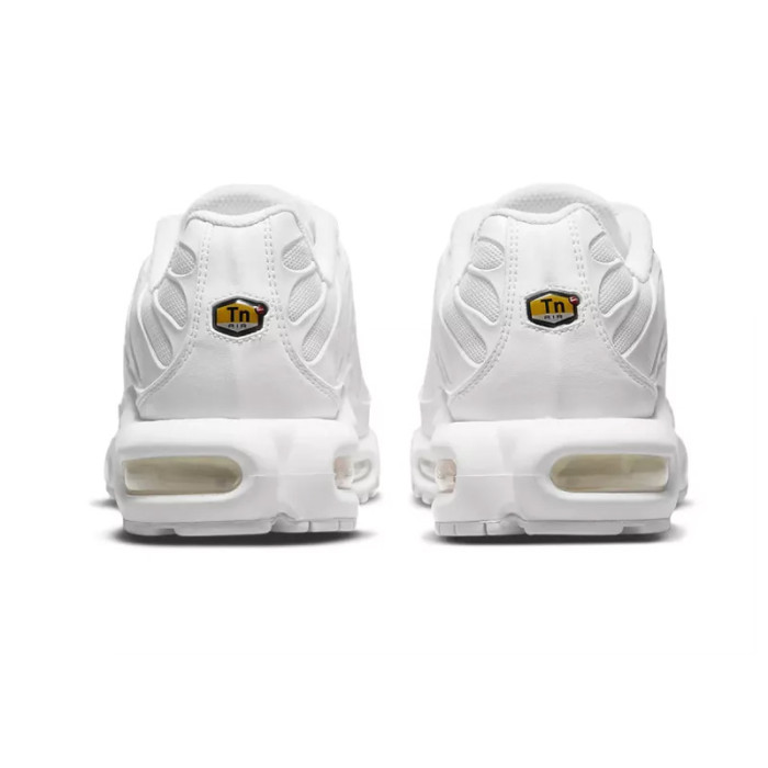 Nike Basket Nike AIR MAX PLUS
