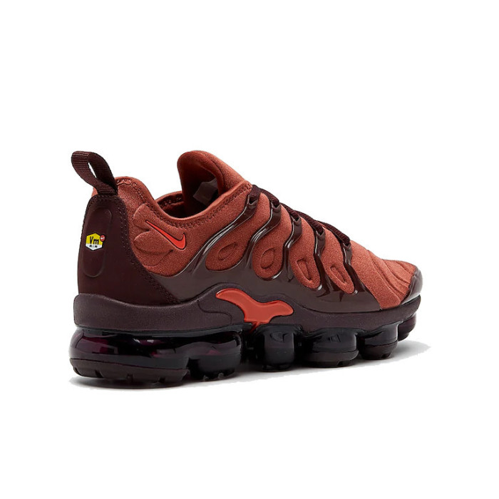 Nike Basket Nike VAPORMAX PLUS - AO4550-201