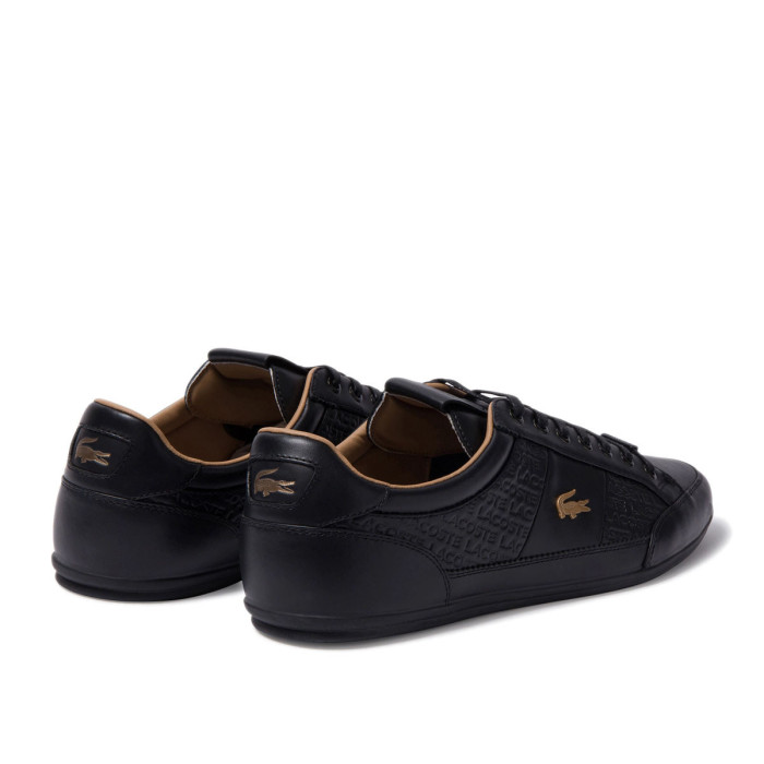 Lacoste Basket Lacoste CHAYMON 120 6 US CMA