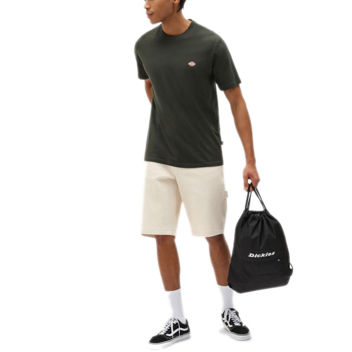 Dickies Tee-shirt Dickies MAPLETON